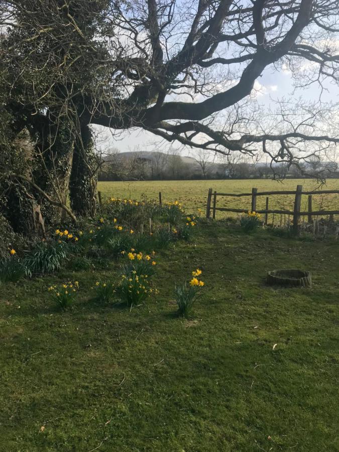 The Old Flower Field Hurstpierpoint Экстерьер фото